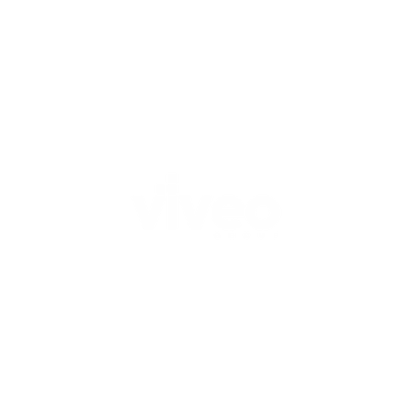 Logo Viveo Group